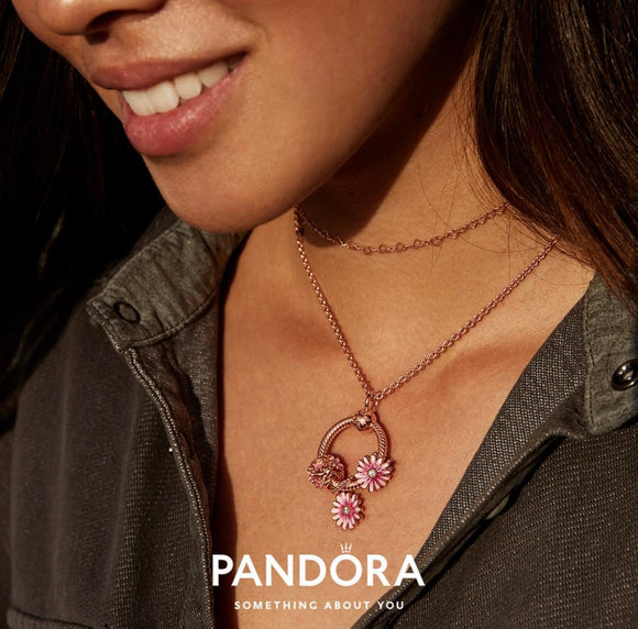Pandora Charms and Jewelry