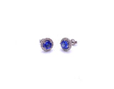 Tanzanite and Diamond Earrings F330B402493
