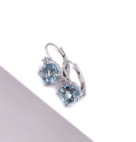Aquamarine Lever back Earrings in White Gold F330B436769