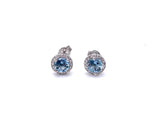 Aquamarine Earrings F330B414284