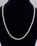 24" Strand of Akoya Pearls F330B4011825