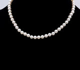 16" strand of Akoya Pearls F330B440363