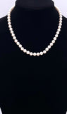 18" Akoya Pearl Necklace F330B412108