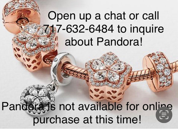 Pandora Charms and Jewelry