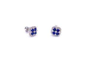 Blue Sapphire and Diamond Post Earrings F401E02171SAW
