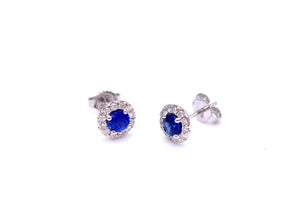 Sapphire Post  Earrings by Coast Diamond F038EC30362