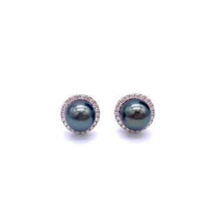 Tahitian Pearl Earrings F314E091TP